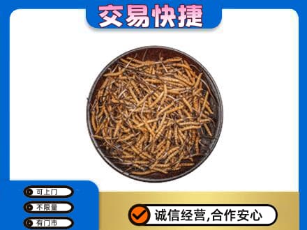 淮南市回收散虫草